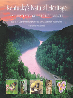 cover image of Kentucky's Natural Heritage